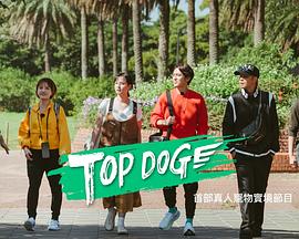 91探花《TOP DOG》免费在线观看