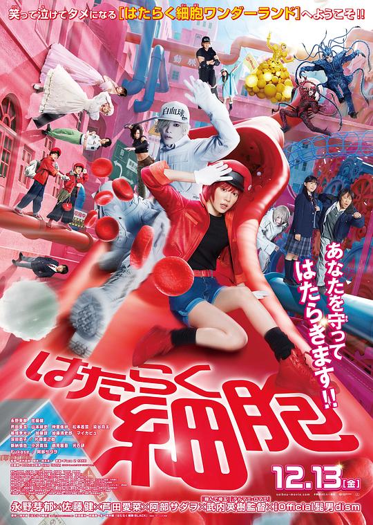 91抖阴《工作细胞 真人版 はたらく細胞》免费在线观看
