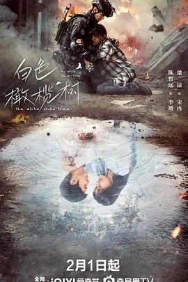 91探花视频《白色橄榄树》免费在线观看