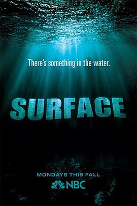 91探花《水下之秘 Surface》免费在线观看